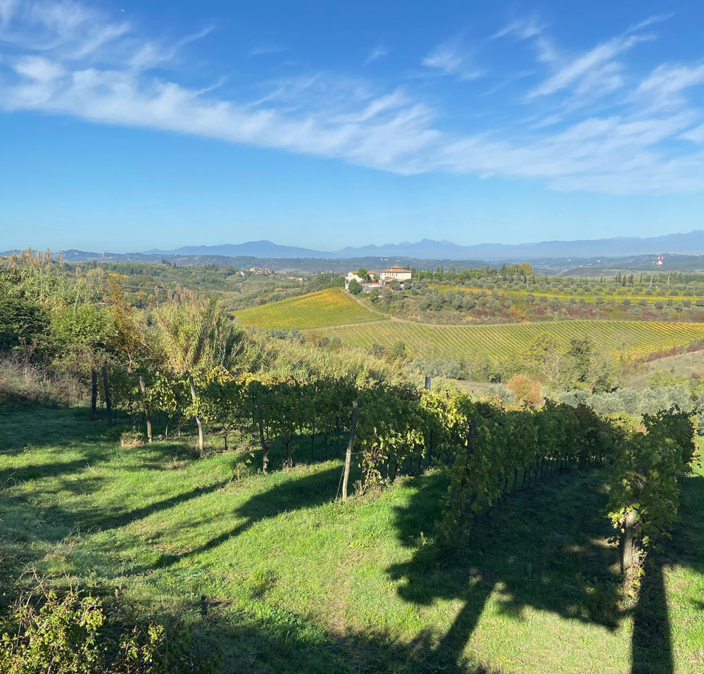 SPERETO TUSCANY Apartments & Villas view